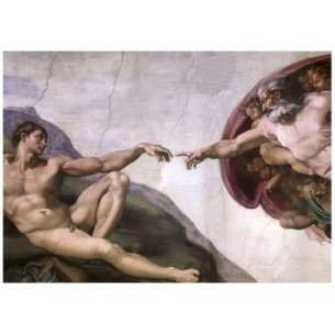1000 A Criação de Adão, Michelangelo 2