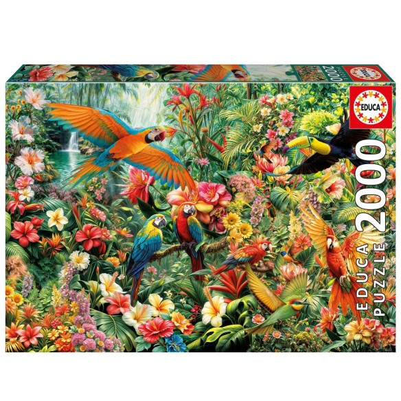 2000 Aves da Amazónia