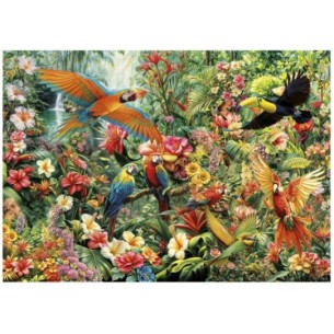 2000 Aves del Amazonas 2