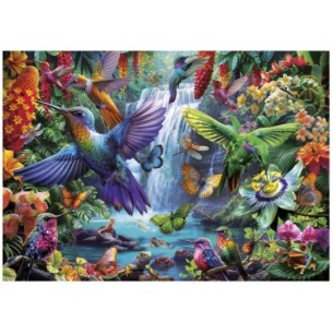 1000 Colibrís Tropicals 2
