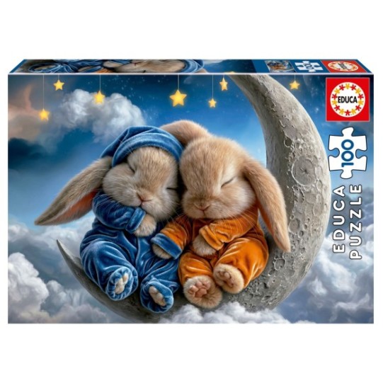100 Sueños de Conejitos