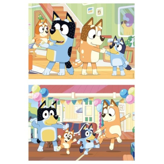 Malette 2x20 Bluey