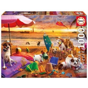 1000 Dogs playing at the Beach