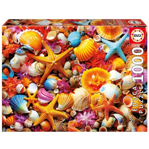 1000 Colagem de Conchas