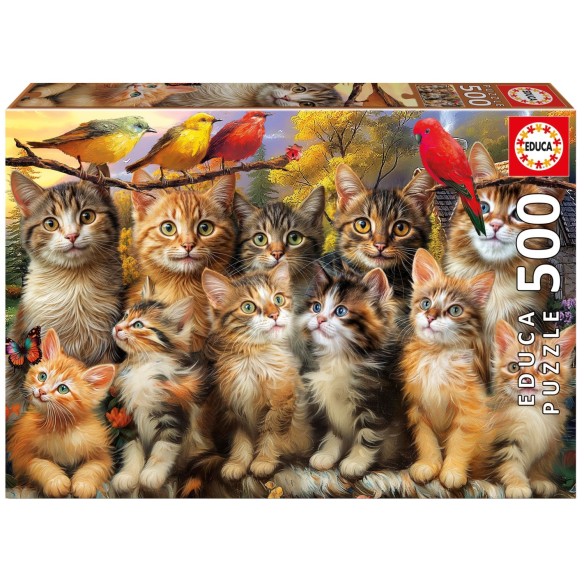 500 Gatitos y Pájaros