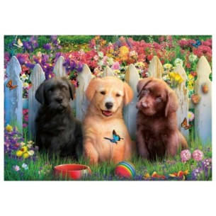 100 Chiots 2