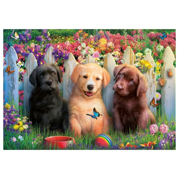 100 Chiots