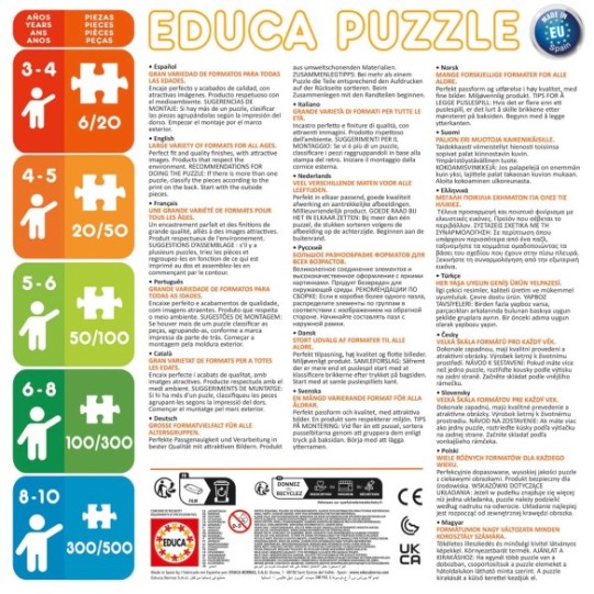  250 Potador de Joaninha Miraculosa Puzzle