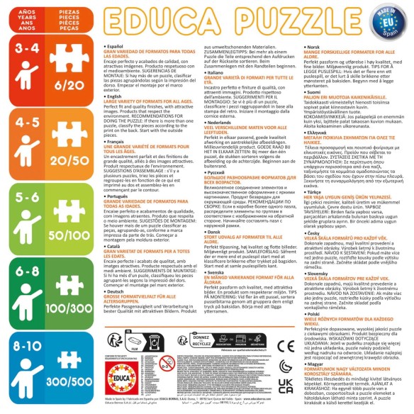  250 Potador de Joaninha Miraculosa Puzzle