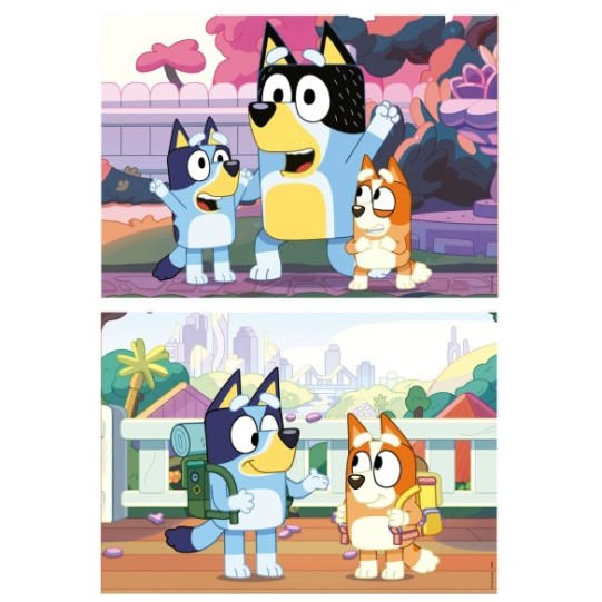 Malette 2x20 Bluey