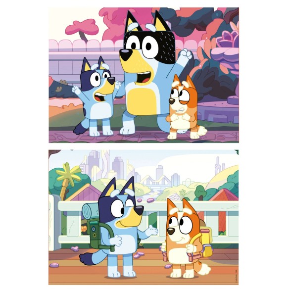 Malette 2x20 Bluey