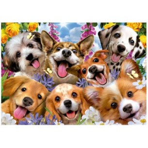 1000 Selfie de perritos 2