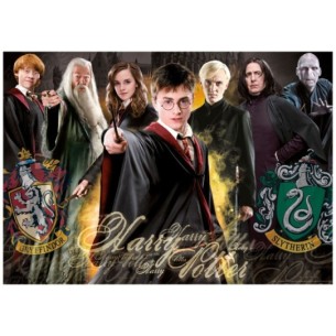 1000 Harry Potter 2