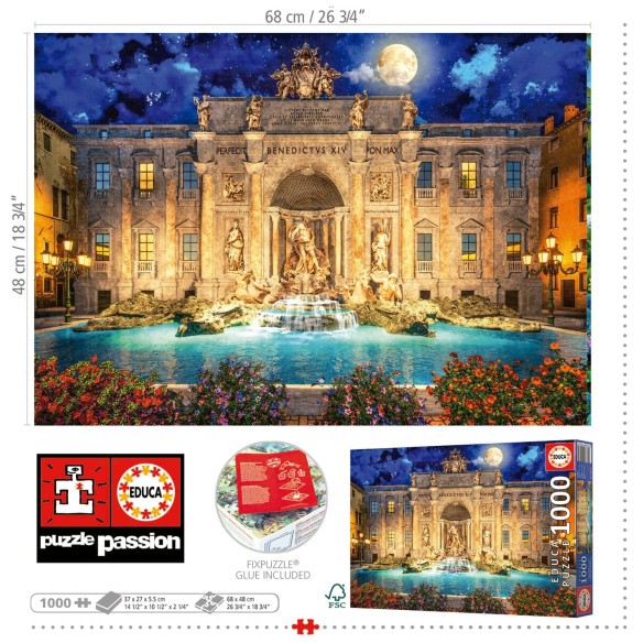  1000 fontana di trevi