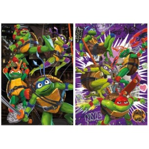 2x500 Ninja Turtles 2