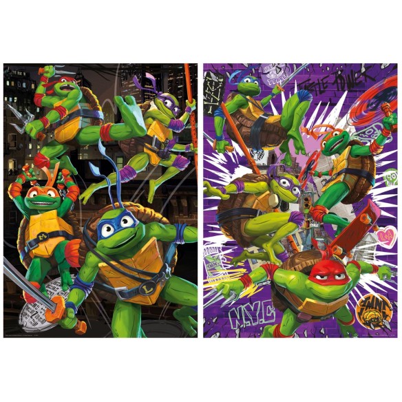 2x500 Ninja Turtles