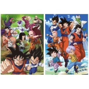 2x500 Dragon Ball 2
