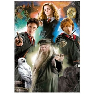 500 Harry Potter 2