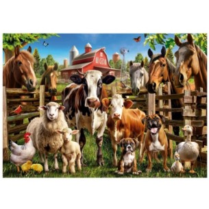 500 Les Malins de La Ferme 2