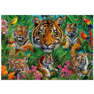 500 Tiger Jungle 2