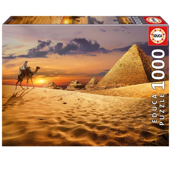 1000 Camell al desert