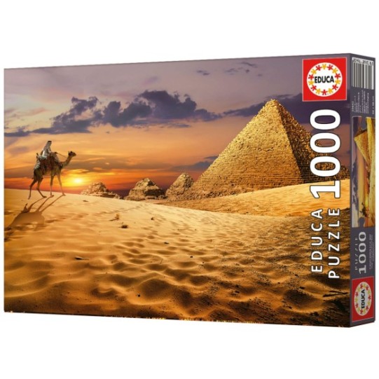 1000 Camelo No Deserto