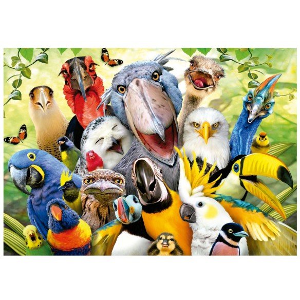 500 Le Petit Oiseau Va Sortir