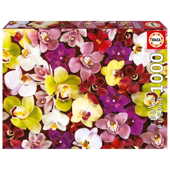 1000 Collage Orchidées