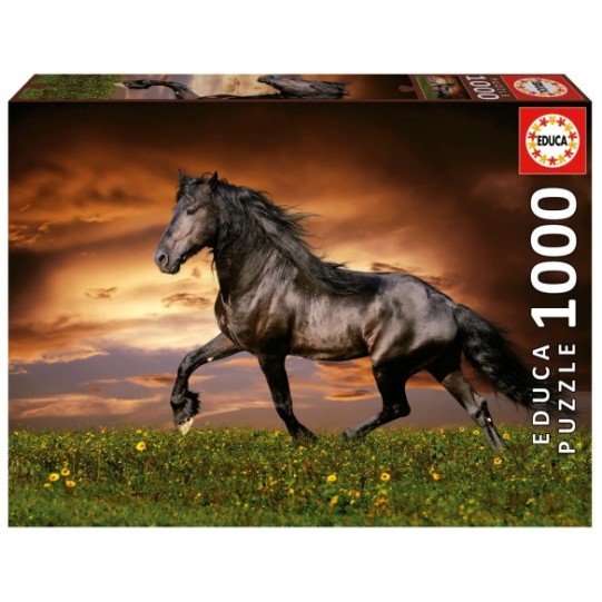 1000 Cavall al trot