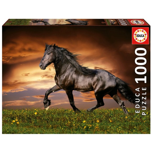 1000 Cavall al trot