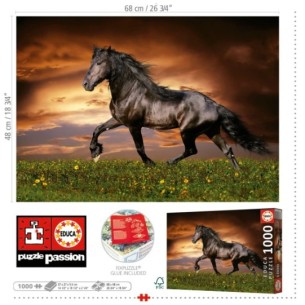 1000 Trotting Horse 2