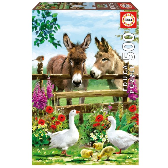 500 Burros