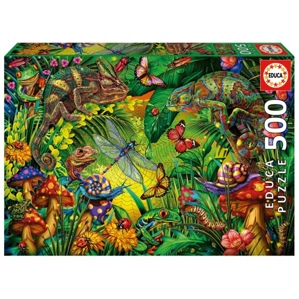 500 Forêt Colorée