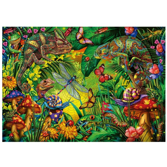 500 Forêt Colorée