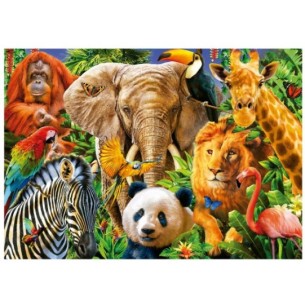 500 Wild Animal Collage 2
