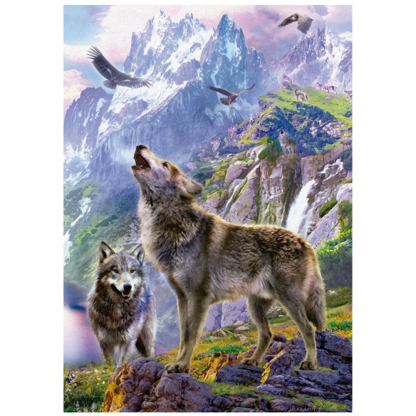500 Loups sûr Les Rochers