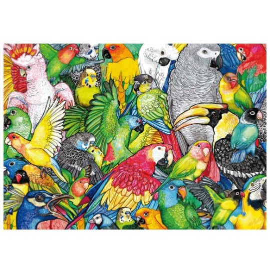 500 Perroquets