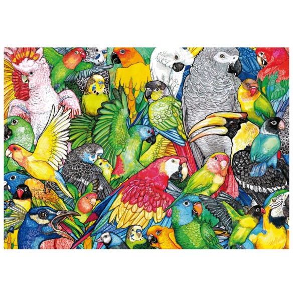 500 Perroquets