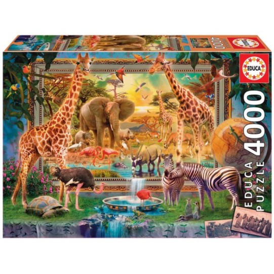 4000 De Retour De La Savane