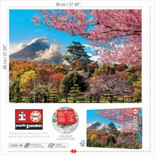 2000 Castelo de Osaka, Japão 2