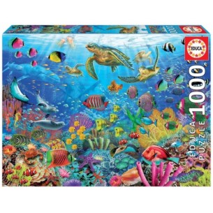 1000 Tortugues al Paradís