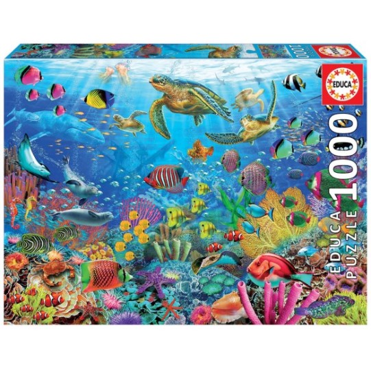 1000 Tortugues al Paradís