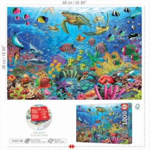 1000 Tropical Fantasy Turtles 2