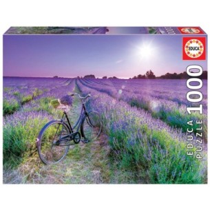 1000 Bicicleta en un Camp de Lavanda