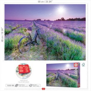 1000 Bicicleta en un Camp de Lavanda 2