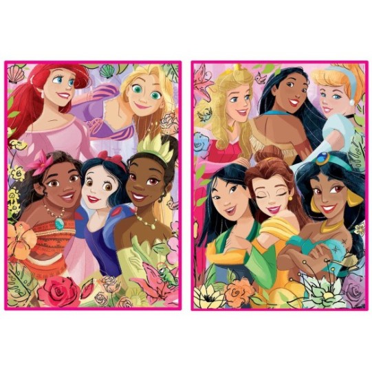 2x500 Disney Princess