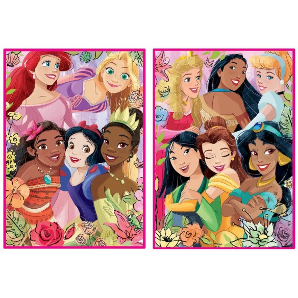 2x500 Disney Princess