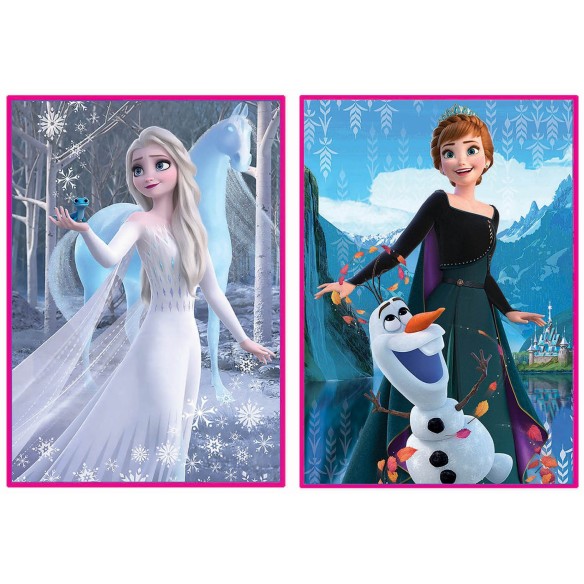 2x500 Frozen II