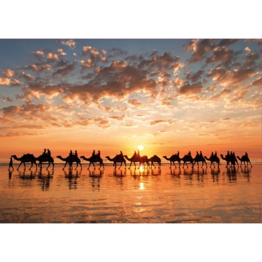 1000 Golden sunset on Cable Beach