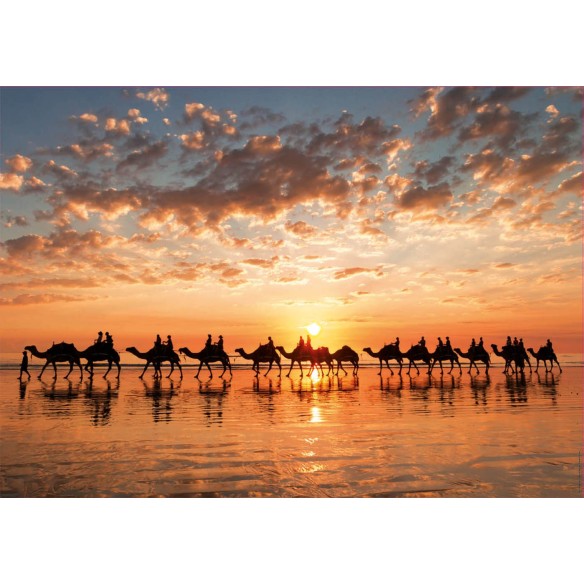 1000 Golden sunset on Cable Beach